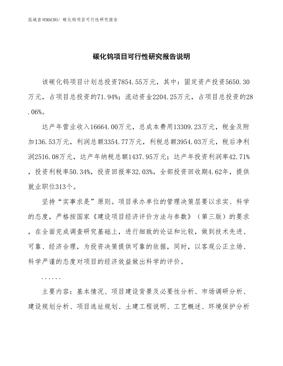 （批地）碳化钨项目可行性研究报告_第2页