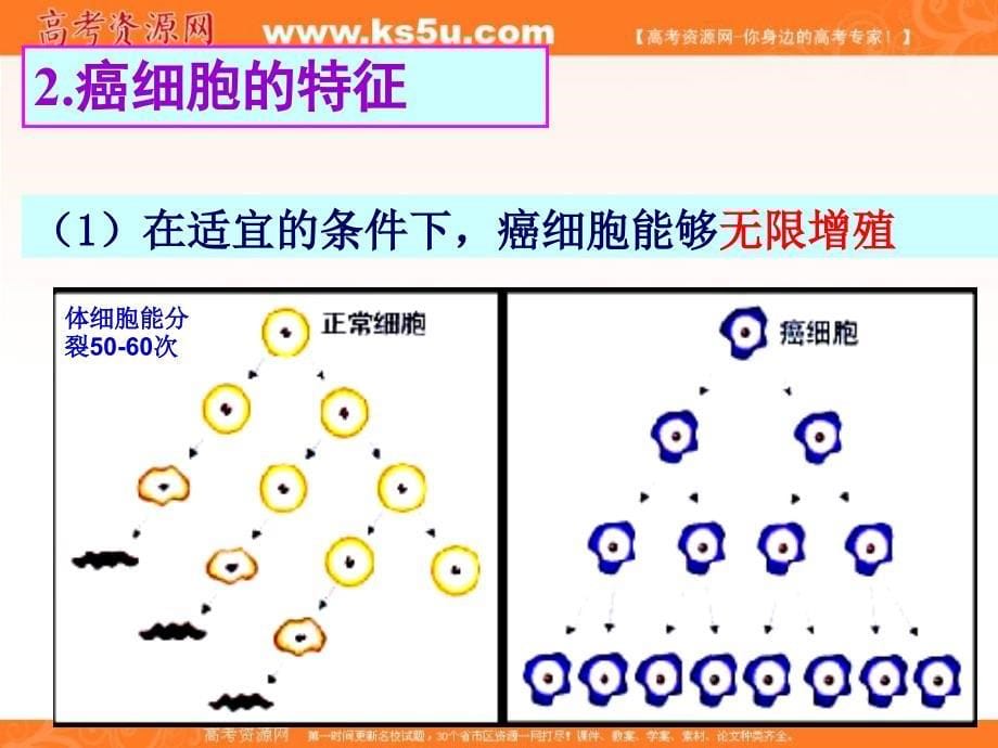 【名校推荐】贵州省高一生物课件：必修一 6.4 细胞的癌变_第5页