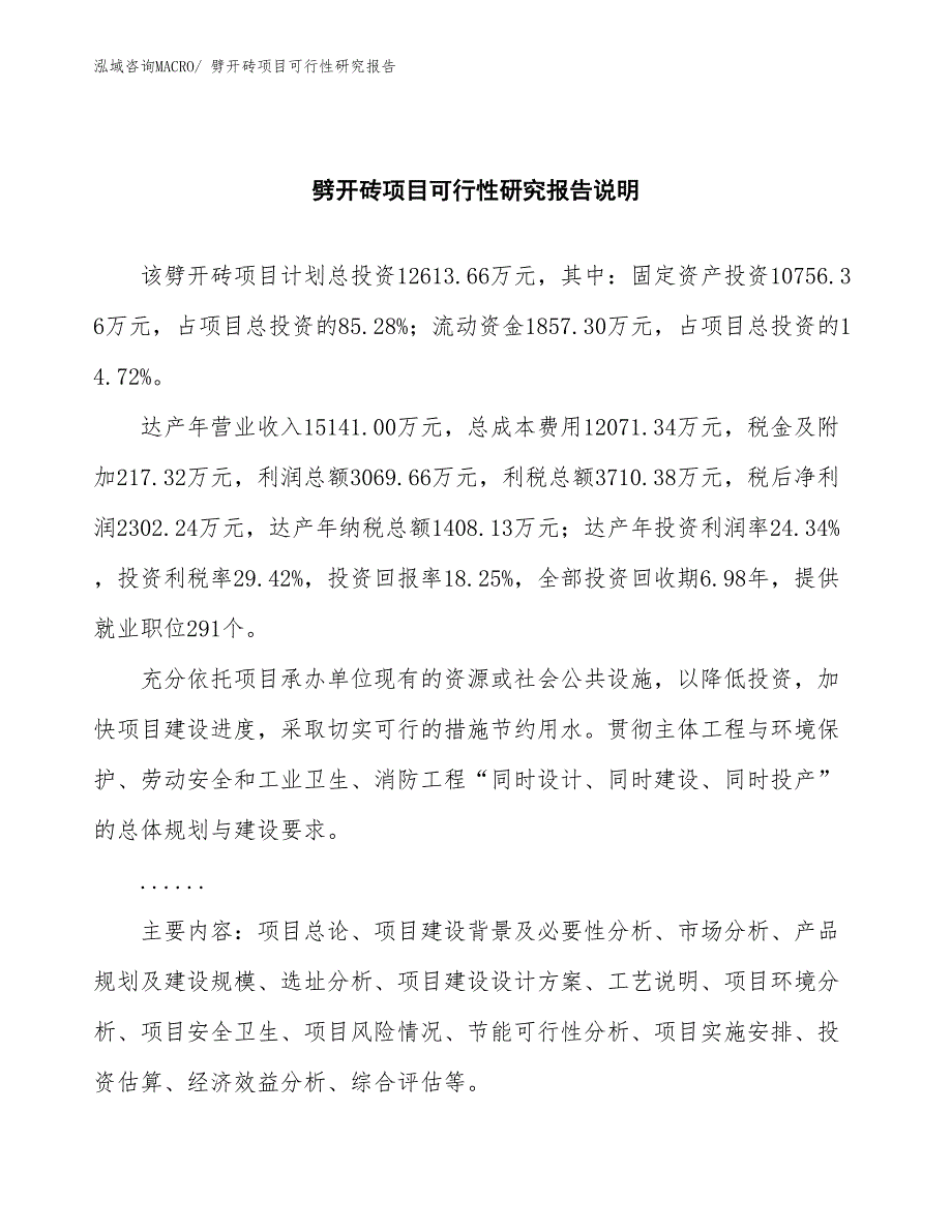 （批地）劈开砖项目可行性研究报告_第2页