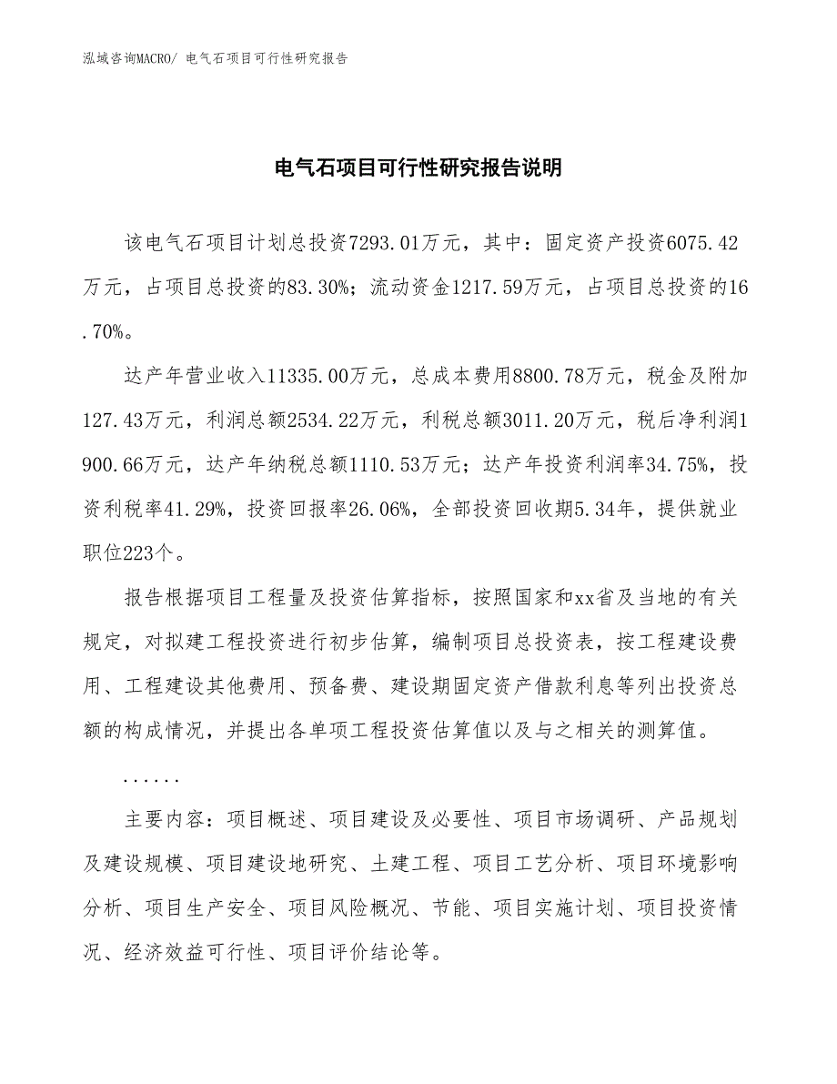 （批地）电气石项目可行性研究报告_第2页