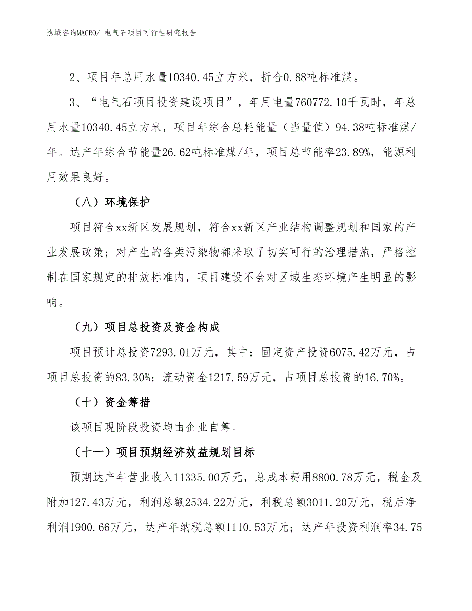 （批地）电气石项目可行性研究报告_第4页