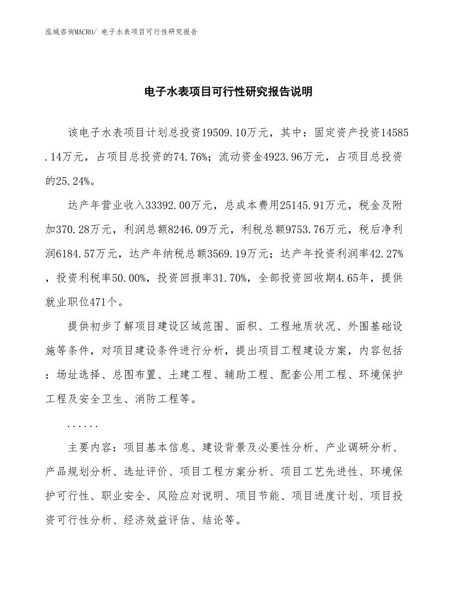 （批地）电子水表项目可行性研究报告_第2页