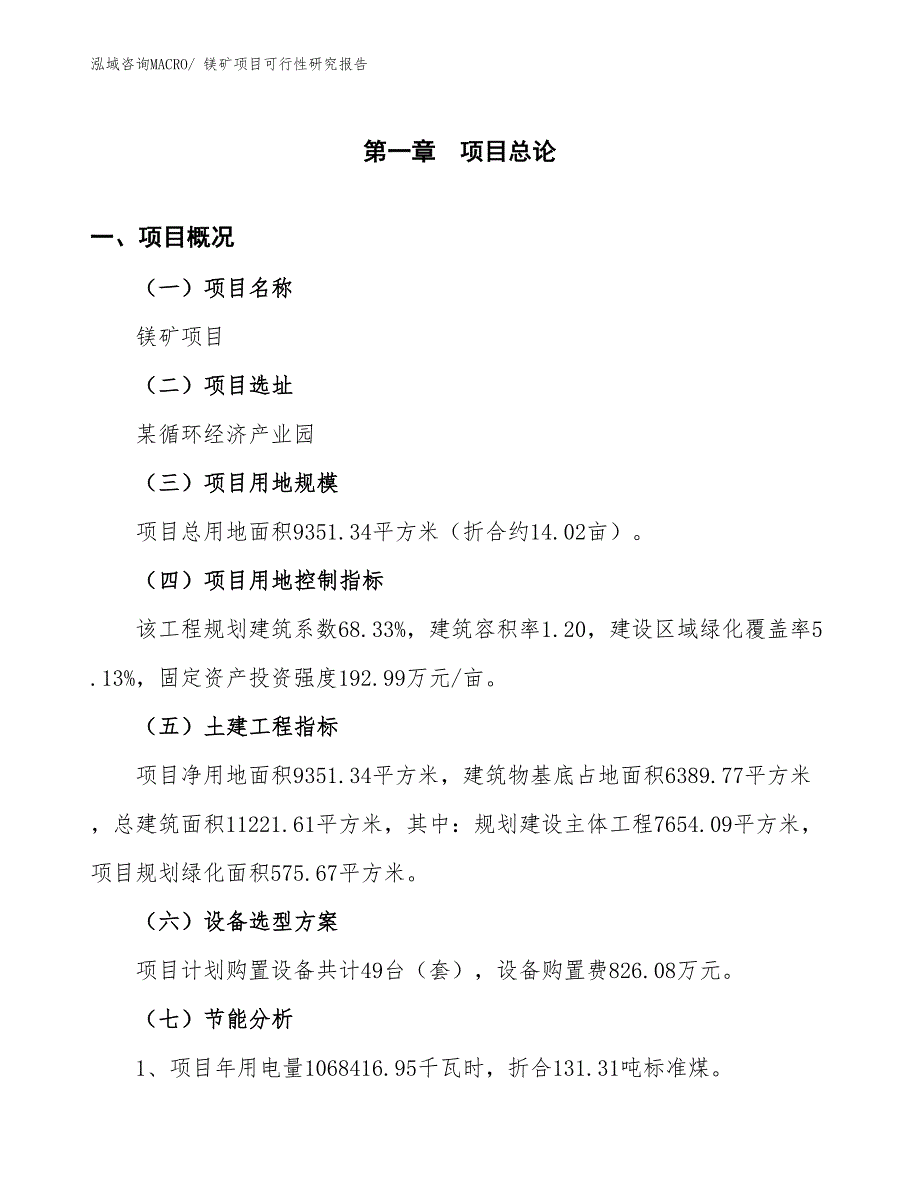 （批地）镁矿项目可行性研究报告_第3页