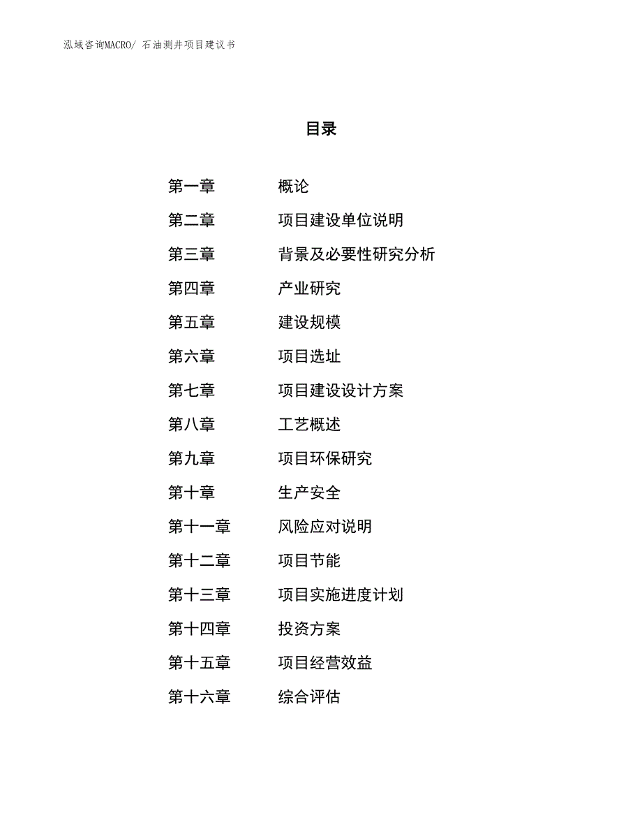 （立项审批）石油测井项目建议书_第1页