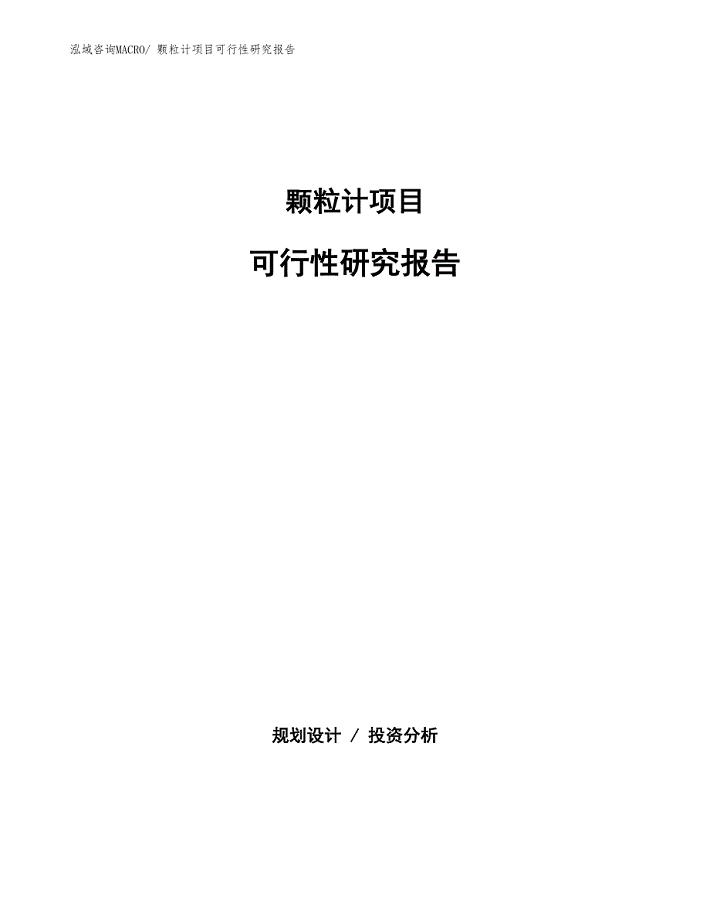 （批地）颗粒计项目可行性研究报告