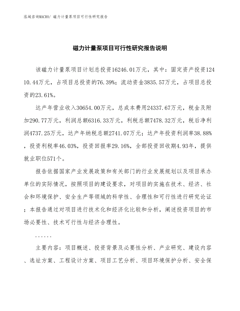 （批地）磁力计量泵项目可行性研究报告_第2页