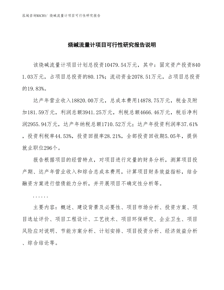 （批地）烧碱流量计项目可行性研究报告_第2页