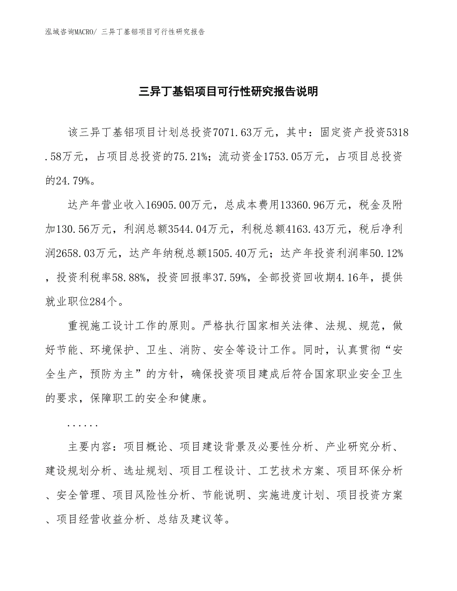 （批地）三异丁基铝项目可行性研究报告_第2页