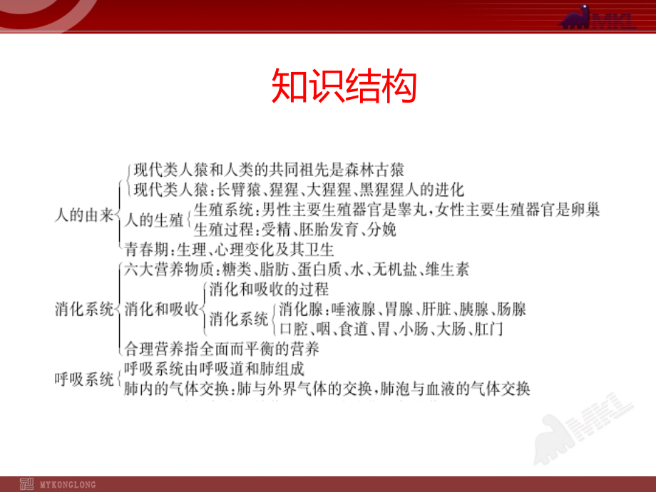 2014届中考生物复习课件：第 单元 生物圈中的人_第3页