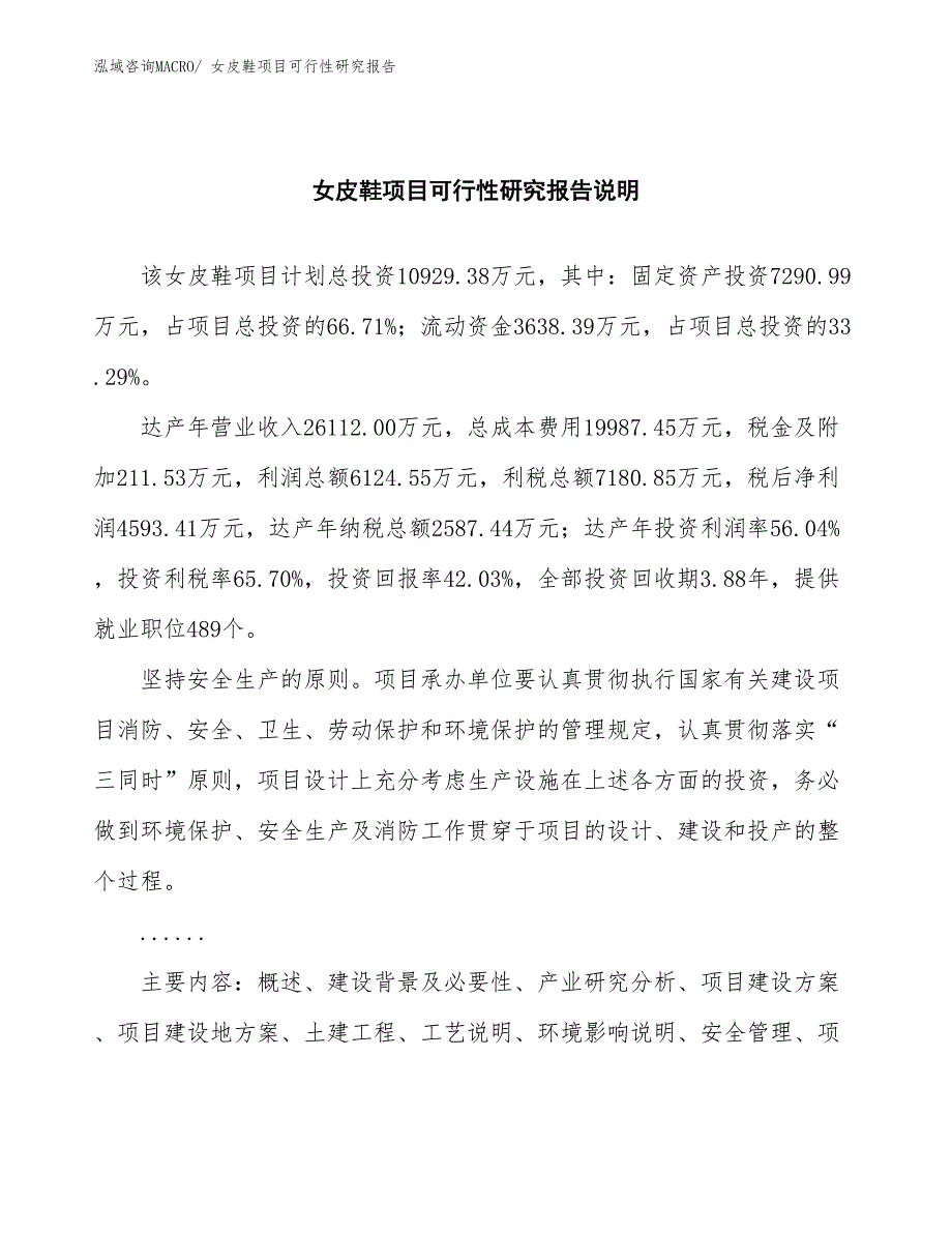 （批地）女皮鞋项目可行性研究报告_第2页