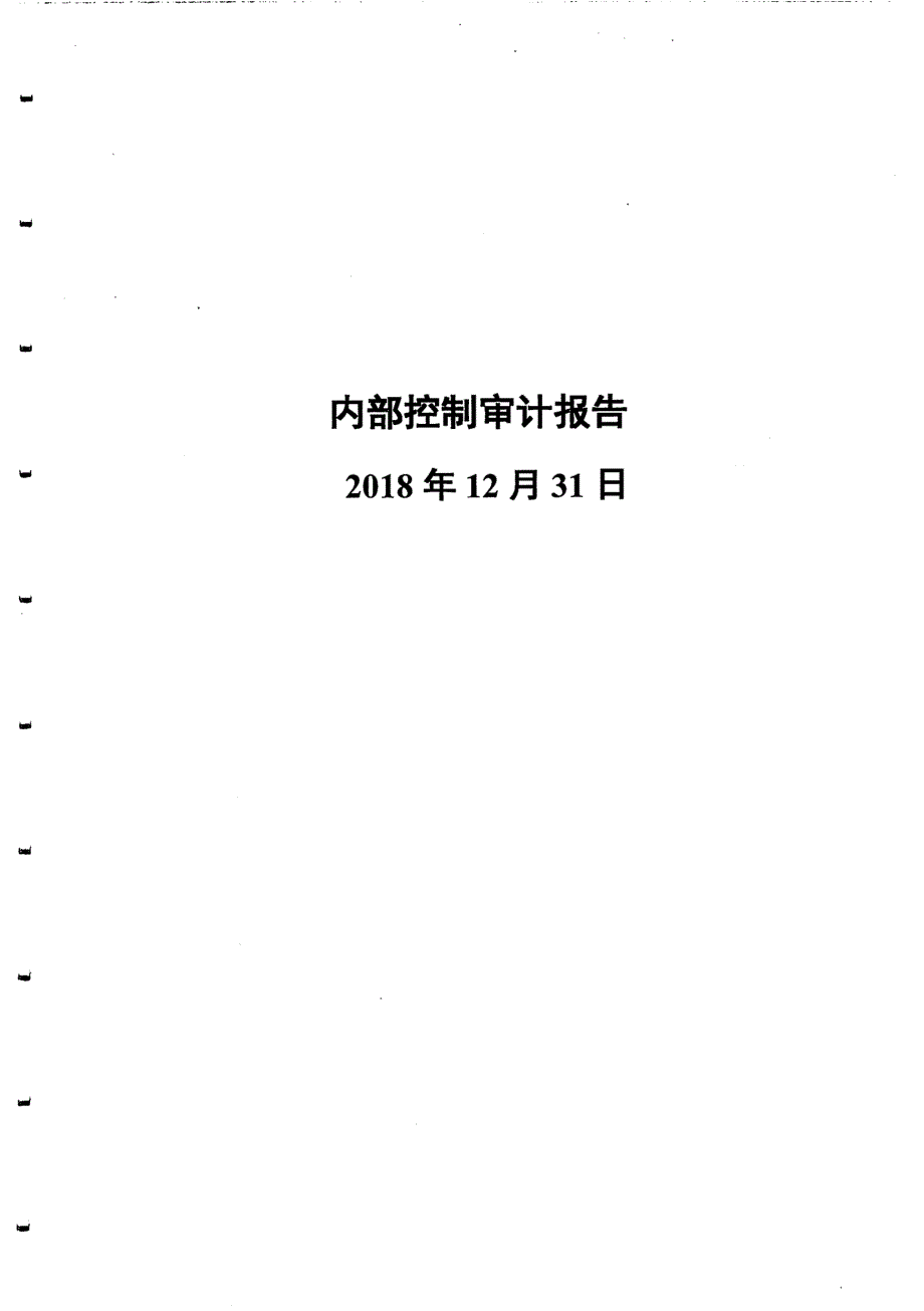 东湖高新：内控控制审计报告_第1页