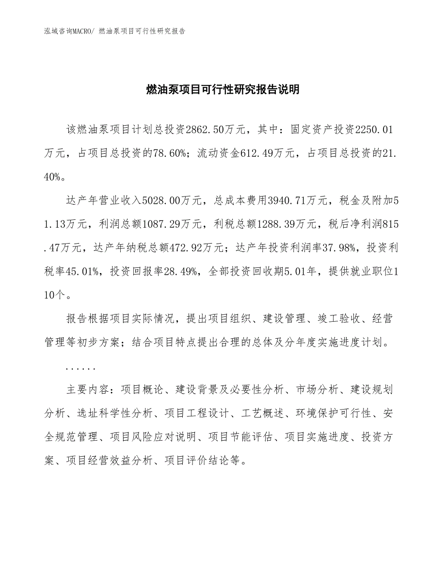 （批地）燃油泵项目可行性研究报告_第2页