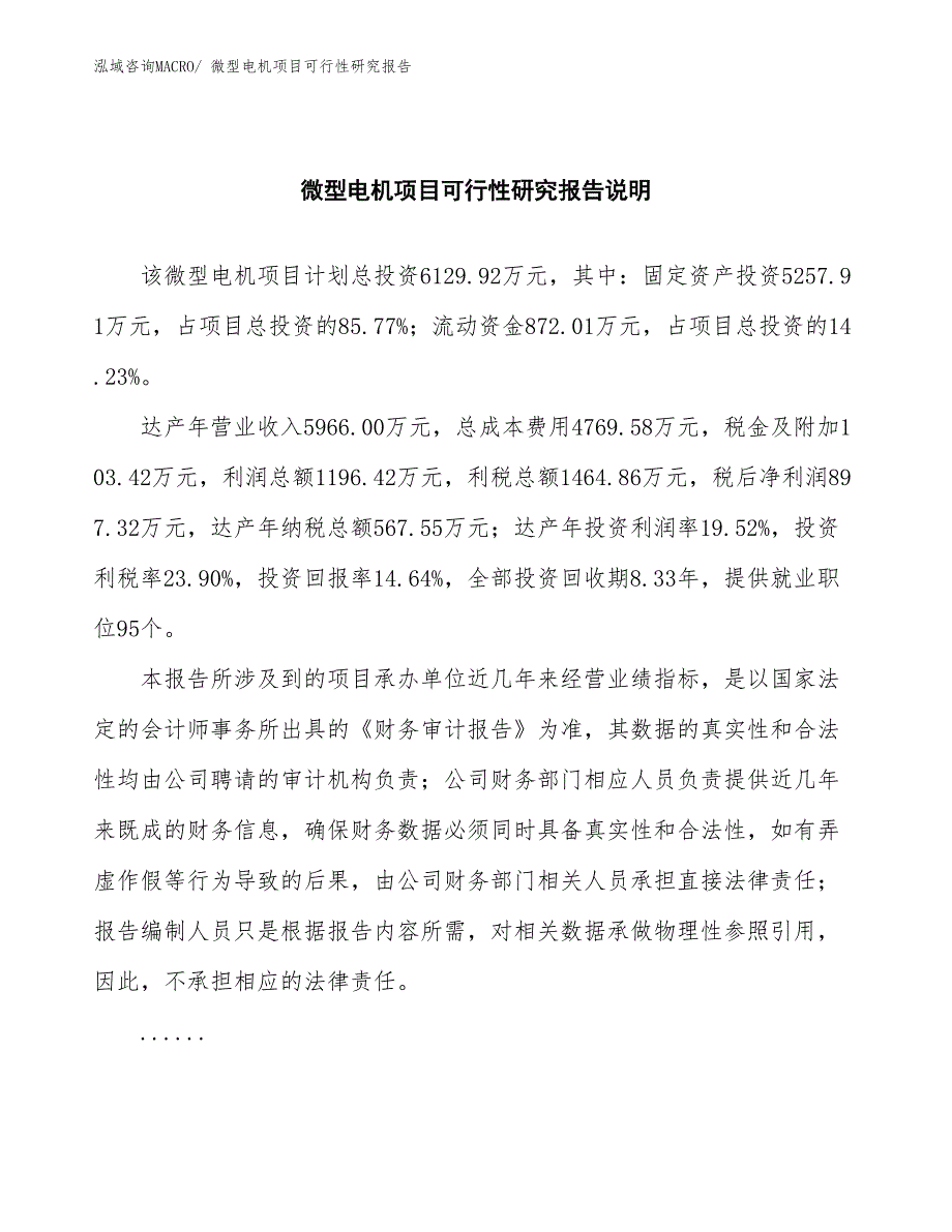 （批地）微型电机项目可行性研究报告_第2页