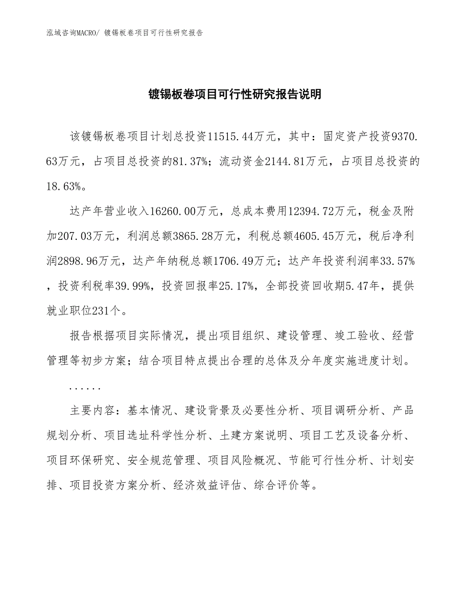 （批地）镀锡板卷项目可行性研究报告_第2页