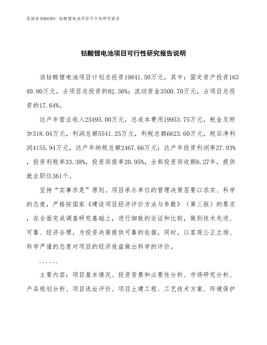 （批地）钴酸锂电池项目可行性研究报告_第2页