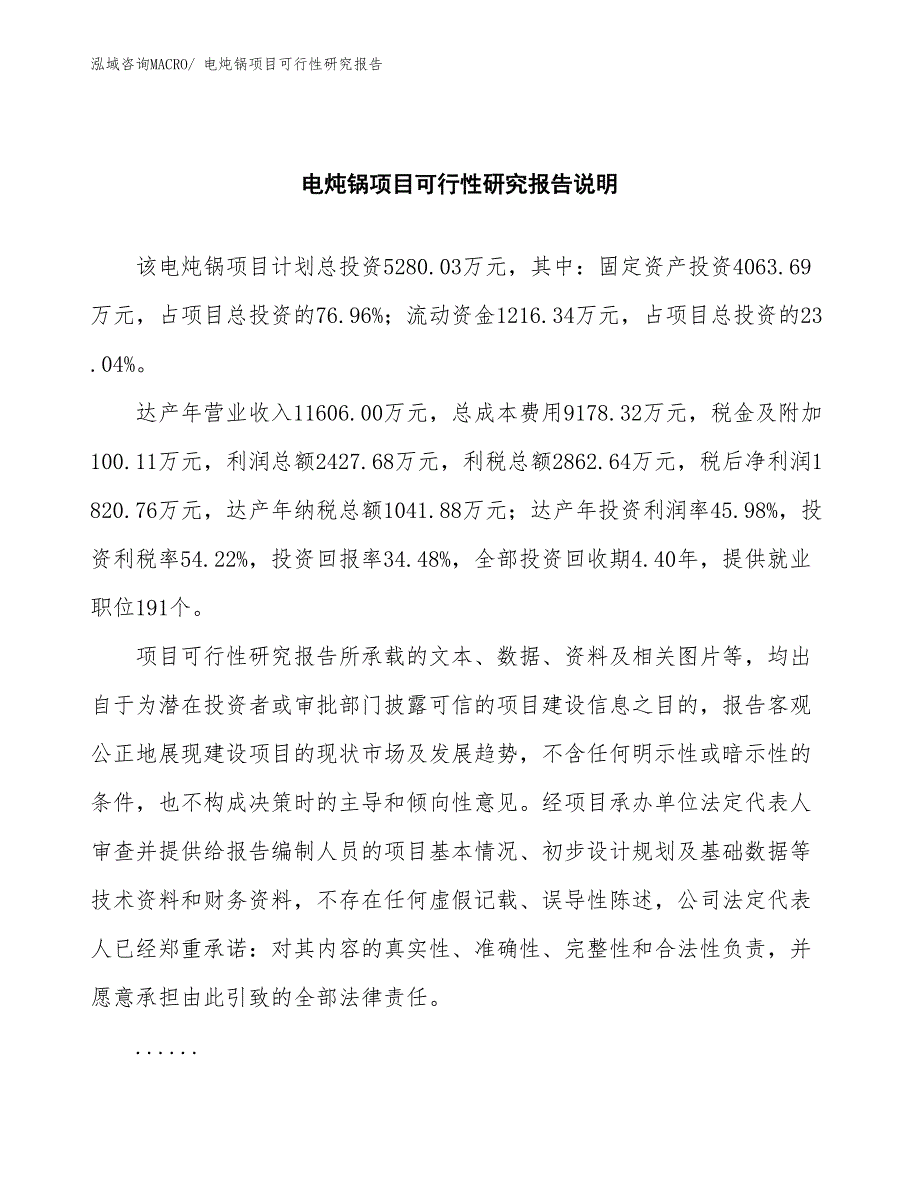 （批地）电炖锅项目可行性研究报告_第2页