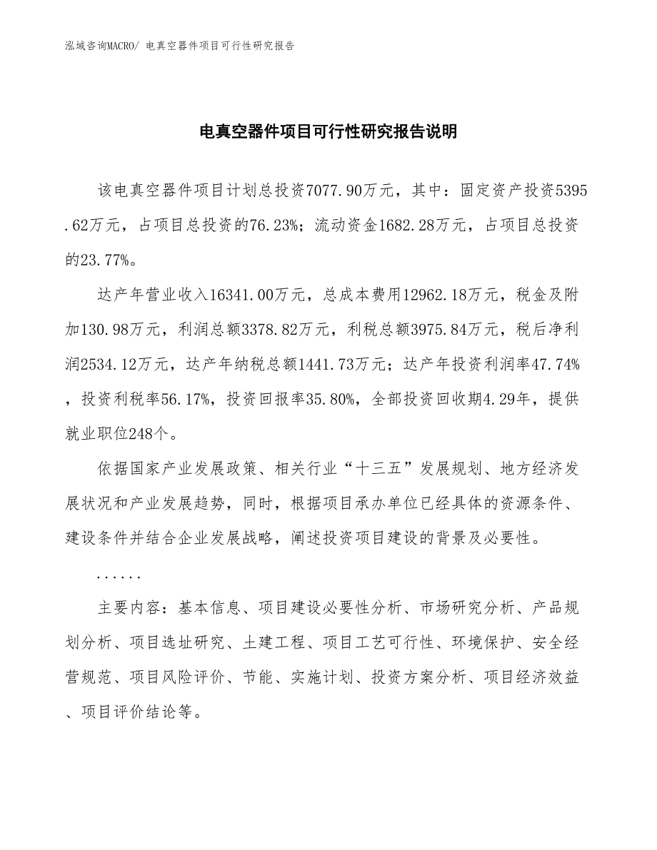 （批地）电真空器件项目可行性研究报告_第2页