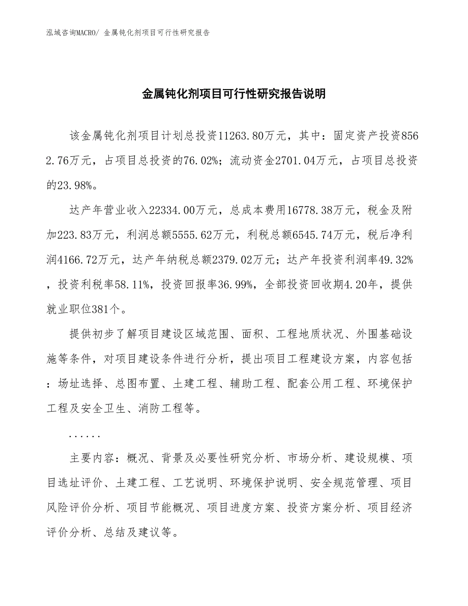 （批地）金属钝化剂项目可行性研究报告_第2页