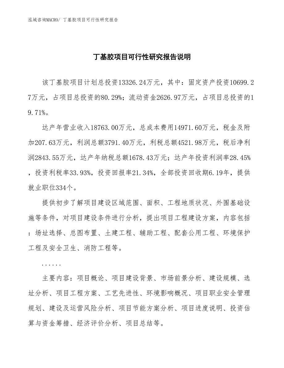 （批地）丁基胶项目可行性研究报告_第2页