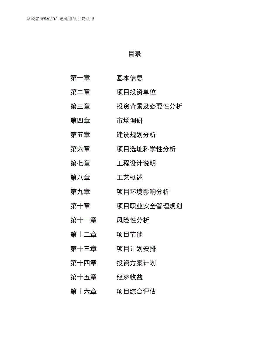 （立项审批）电池组项目建议书_第1页