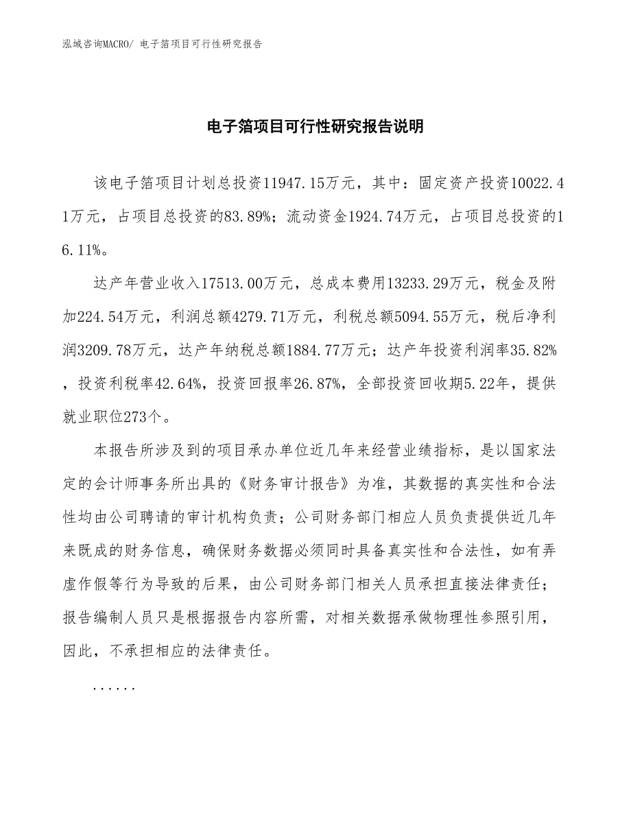 （批地）电子箔项目可行性研究报告_第2页