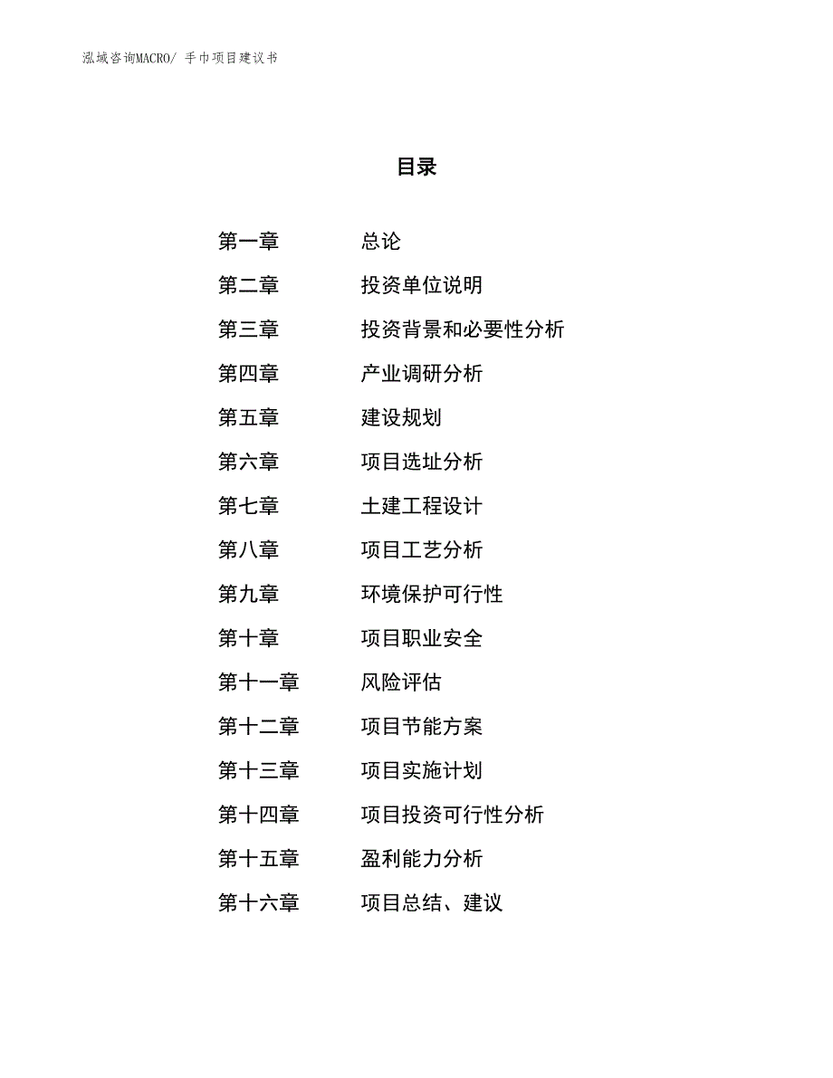 （立项审批）手巾项目建议书_第1页