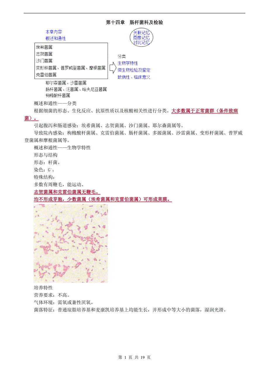 临床检验技师-微生物检验(2019)讲义第十四章-肠杆菌科及检验_第1页