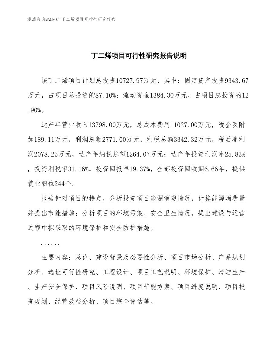 （批地）丁二烯项目可行性研究报告_第2页