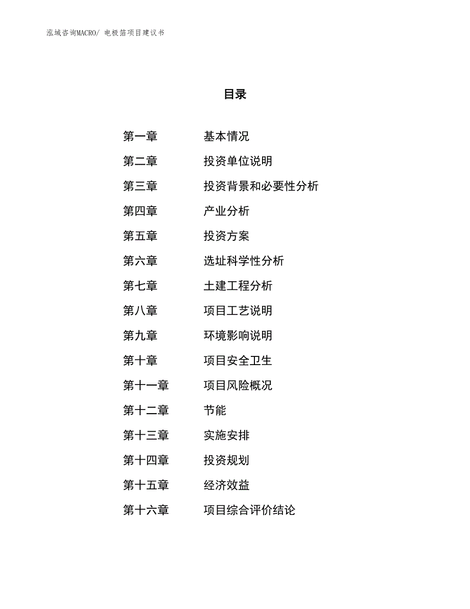 （立项审批）电极箔项目建议书_第1页