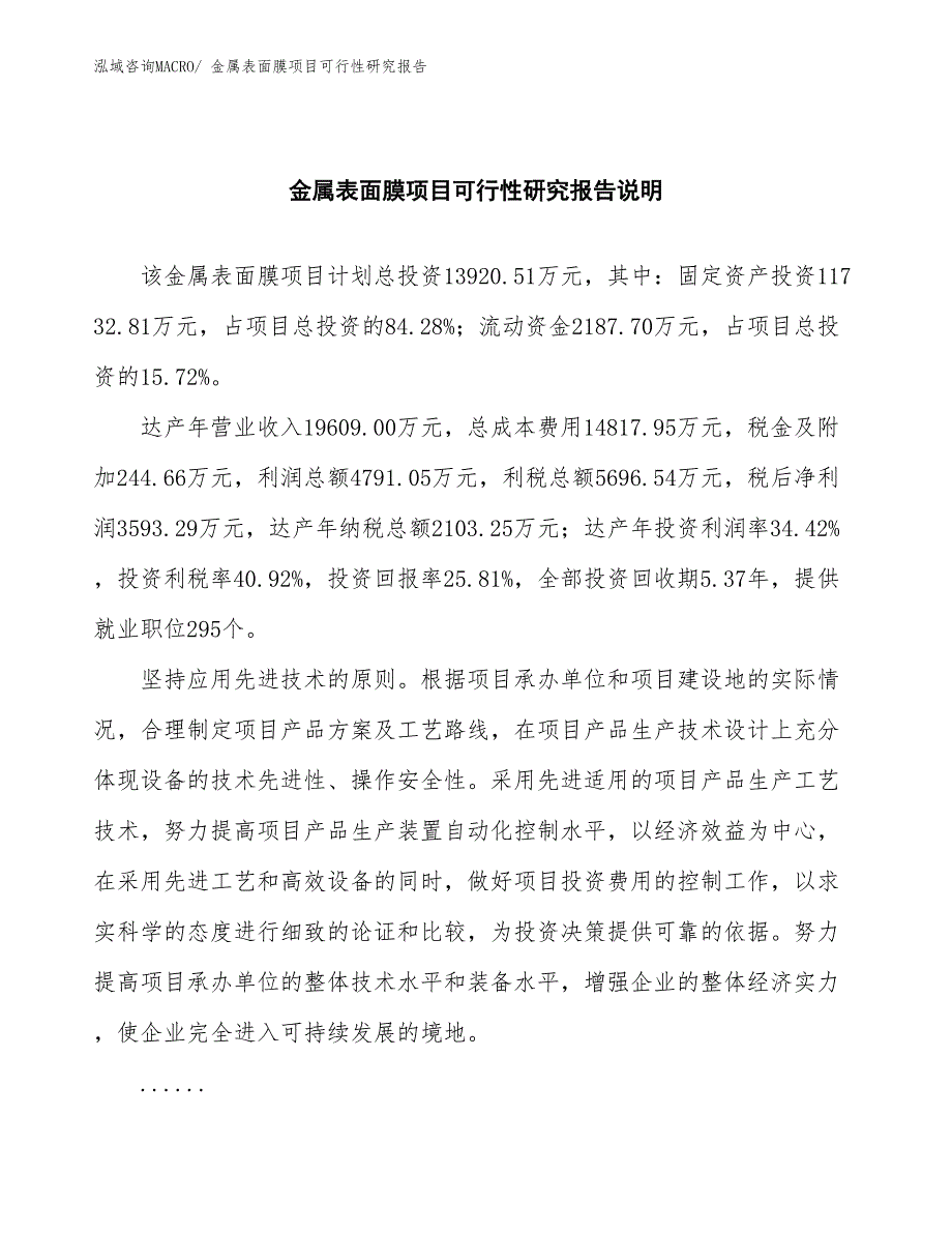 （批地）金属表面膜项目可行性研究报告_第2页