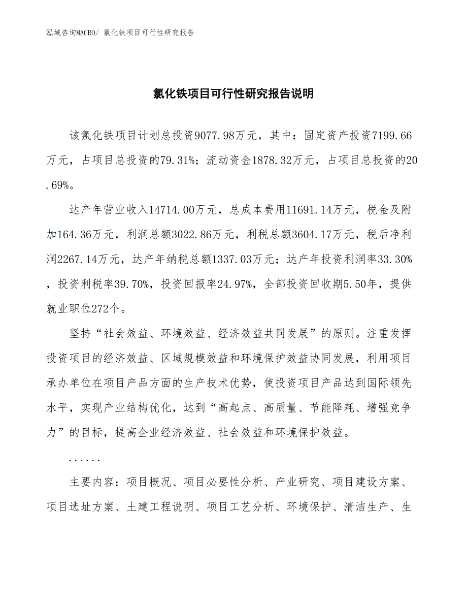 （批地）氯化铁项目可行性研究报告_第2页