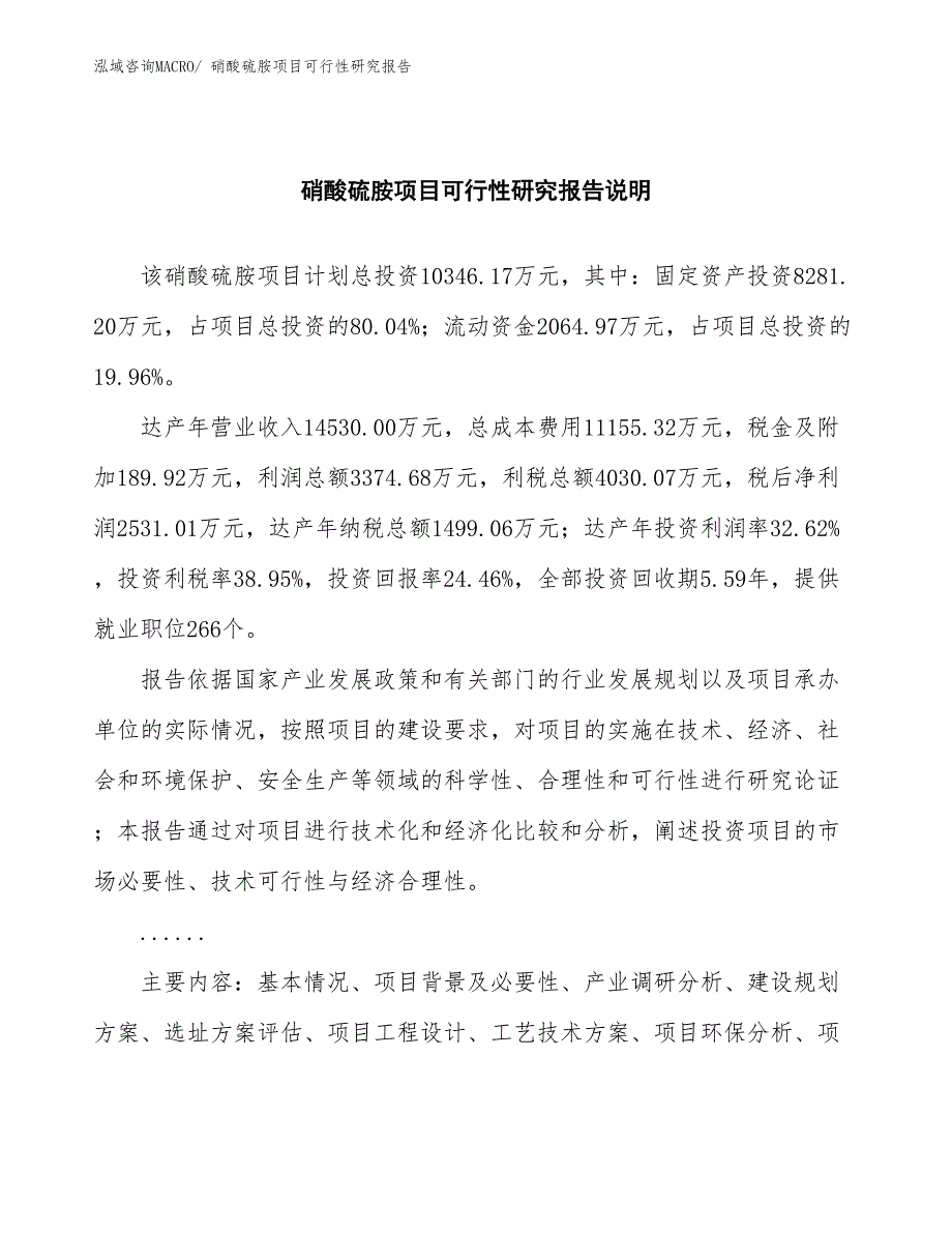 （批地）硝酸硫胺项目可行性研究报告_第2页