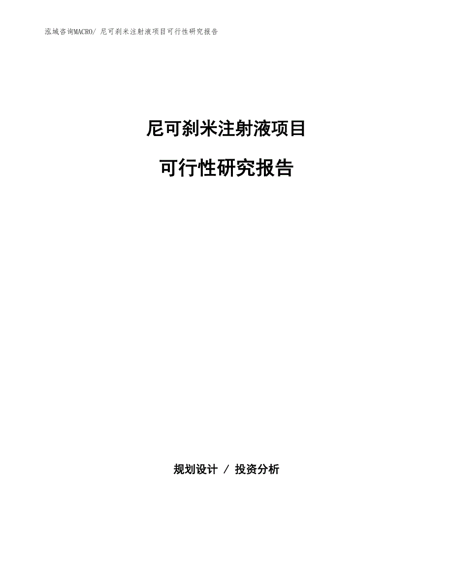 （批地）尼可刹米注射液项目可行性研究报告_第1页