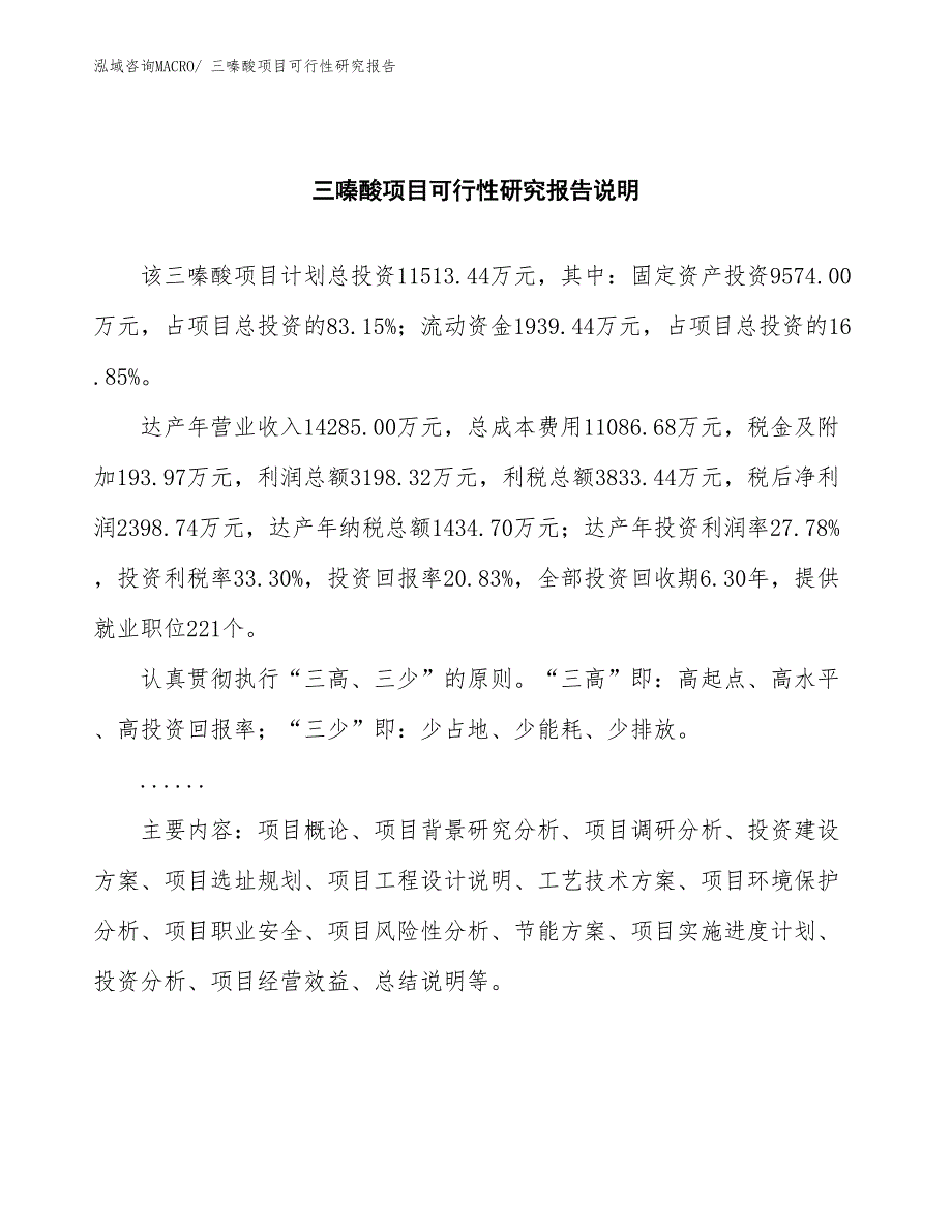 （批地）三嗪酸项目可行性研究报告_第2页