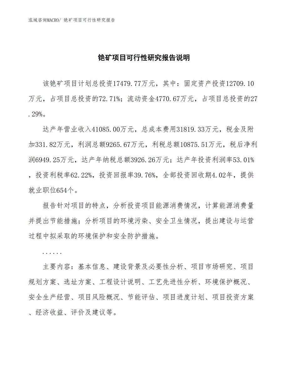 （批地）铯矿项目可行性研究报告_第2页