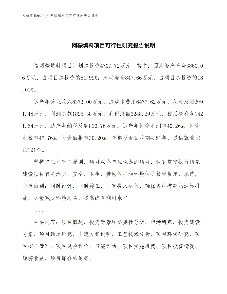 （批地）网鞍填料项目可行性研究报告_第2页