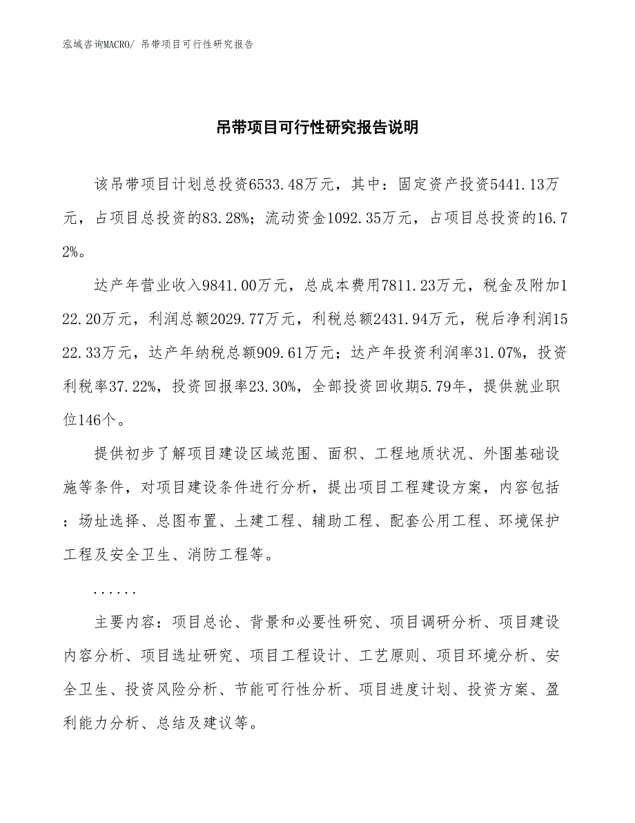 （批地）吊带项目可行性研究报告_第2页