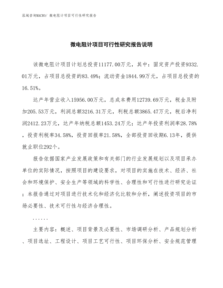 （批地）微电阻计项目可行性研究报告_第2页