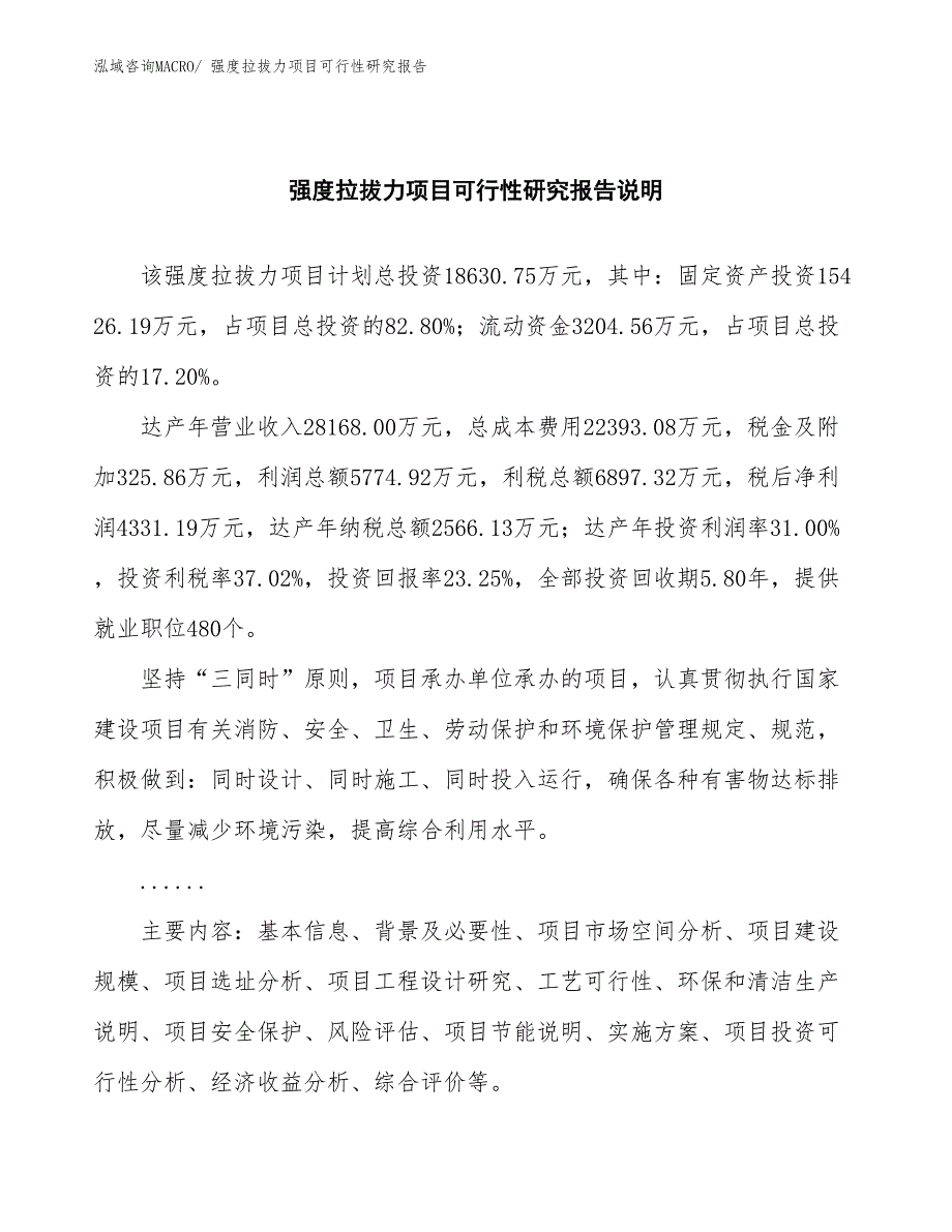 （批地）强度拉拔力项目可行性研究报告_第2页