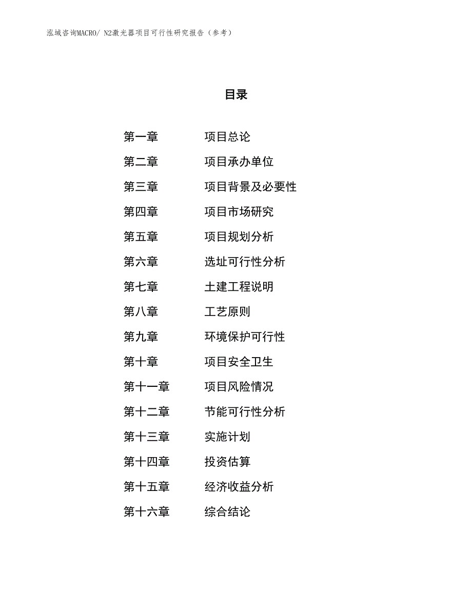 N2激光器项目可行性研究报告（参考）_第1页