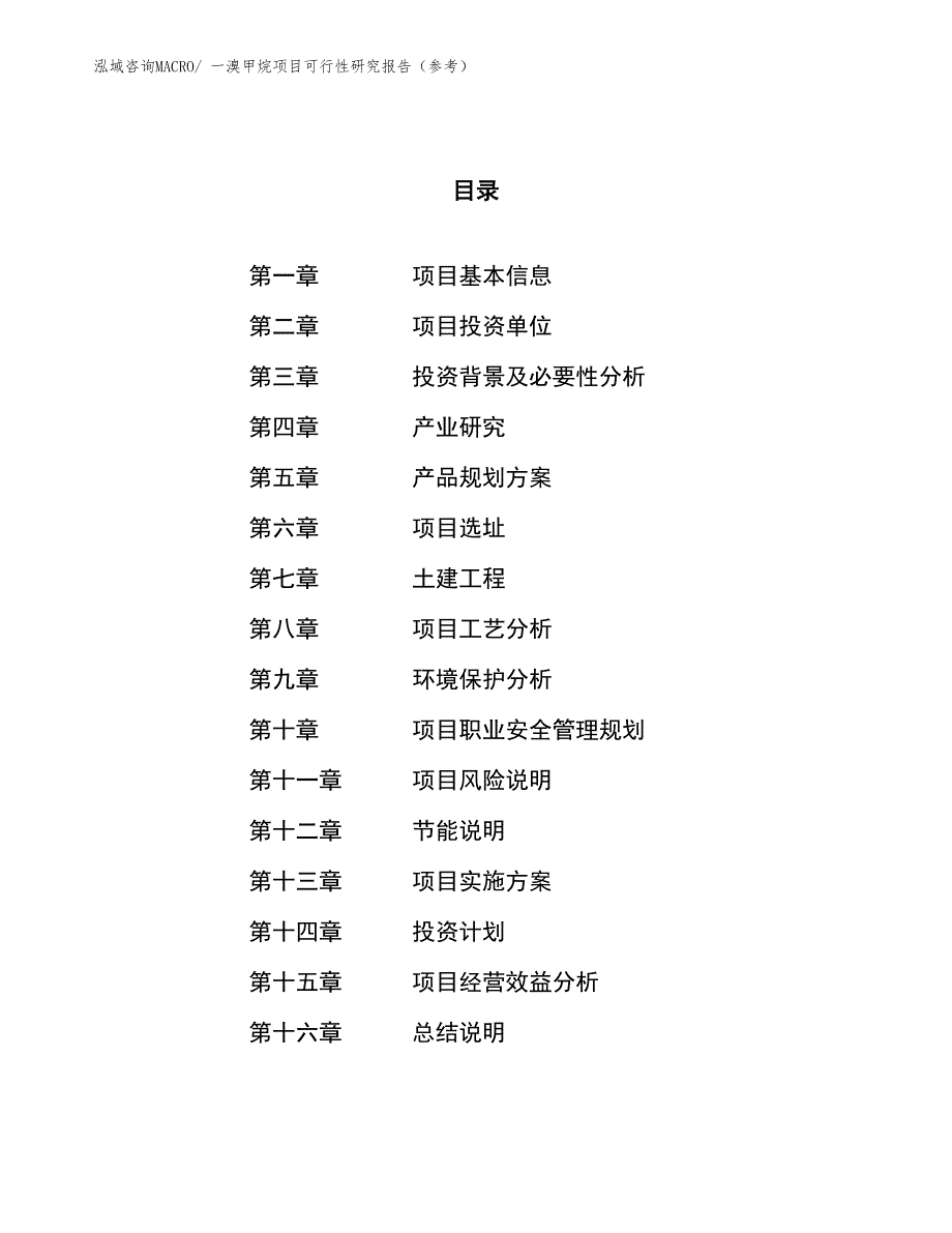 一溴甲烷项目可行性研究报告（参考）_第1页