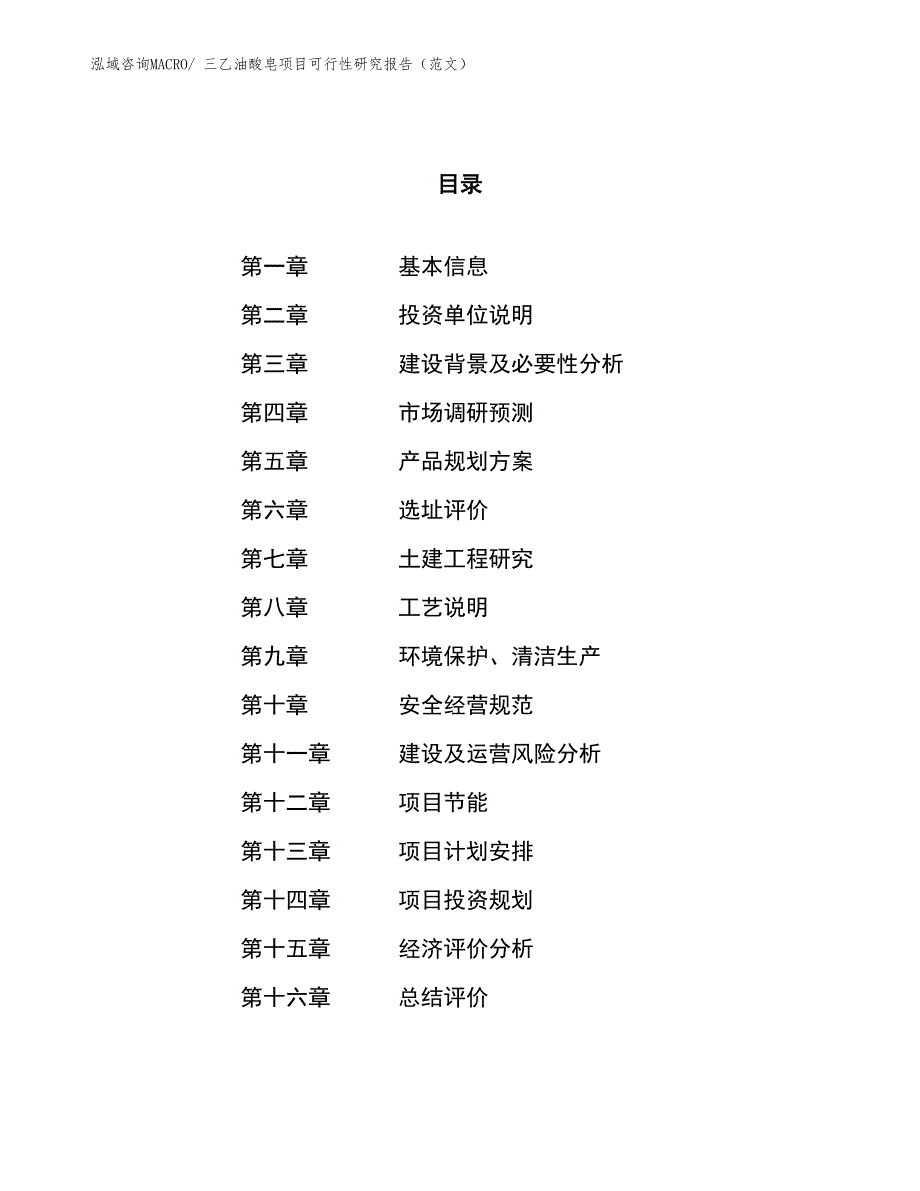 三乙油酸皂项目可行性研究报告（范文）_第1页