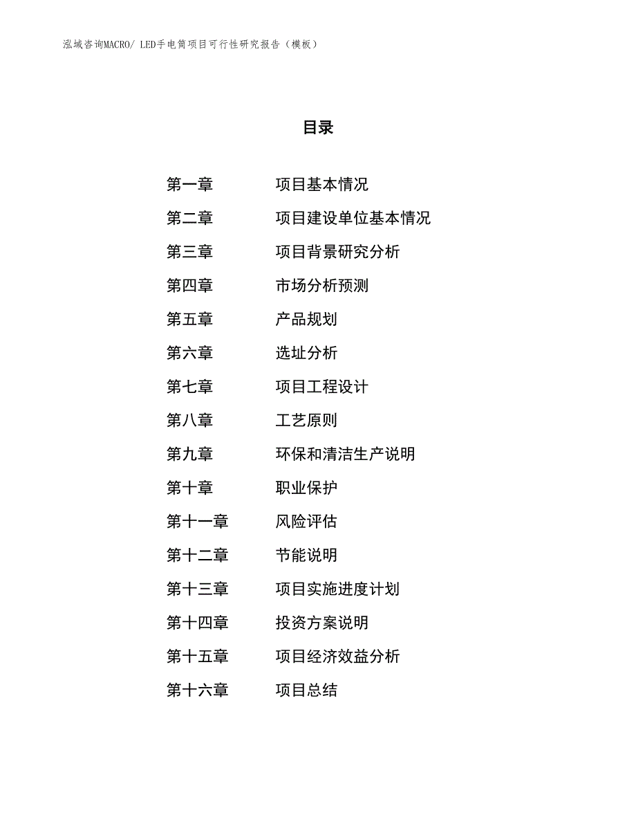 LED手电筒项目可行性研究报告（模板）_第1页