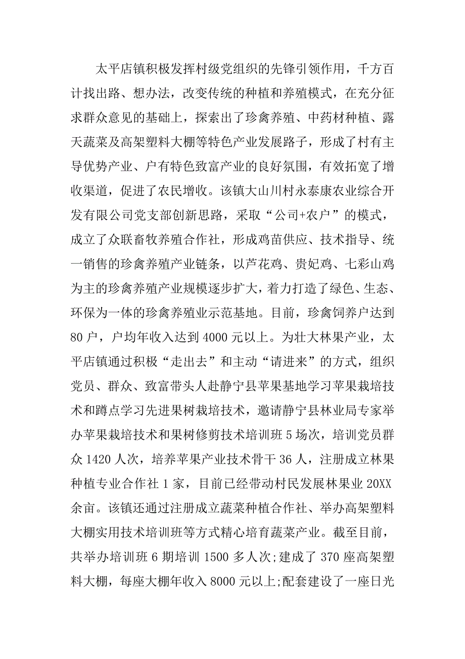 乡镇扶贫党建工作总结.doc_第3页