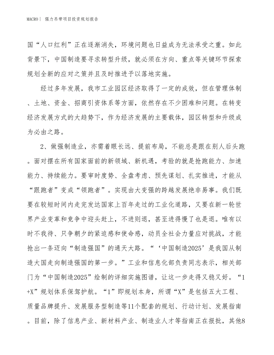 强力吊带项目投资规划报告_第3页