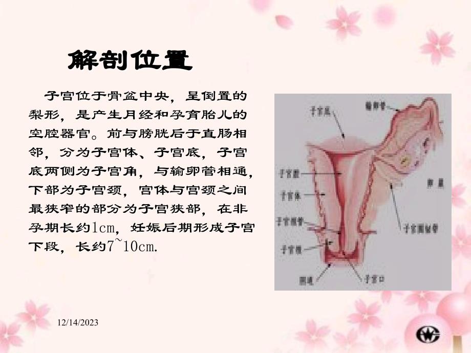 剖宫产术的配合._第4页