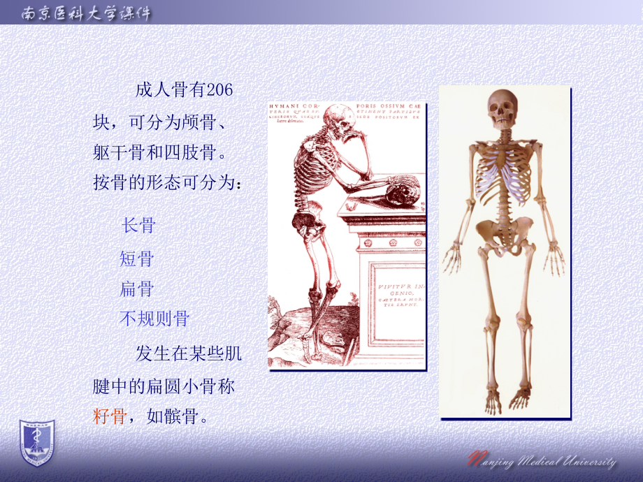 运动系统改_第2页