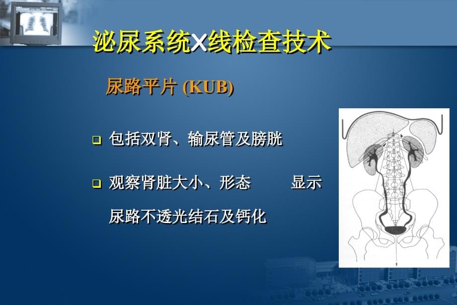 医学影像诊断ppt课件图文详解完整版-泌尿系统影像学_第5页