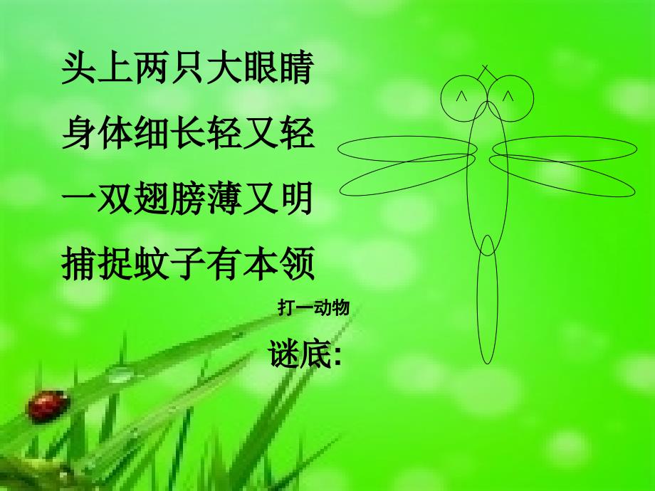 《小蜻蜓》课件_第1页