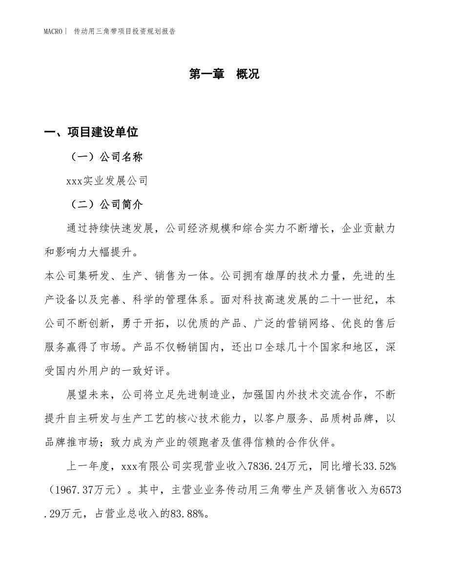 传动用三角带项目投资规划报告_第1页